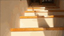 Walk Stairs GIF - Walk Stairs Feet GIFs