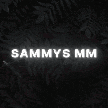 Sammys Middleman GIF - Sammys Mm Sammy GIFs