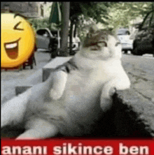 Ananı Sikince Ben Pso GIF - Ananı Sikince Ben Pso Pro Soccer Online GIFs