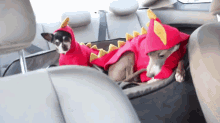 Just A Couple Of Dinosaurs GIF - Jennamarbles Kermit Marbles GIFs