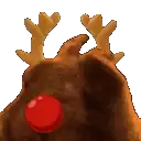 a close up of a stuffed reindeer with antlers and a red nose .