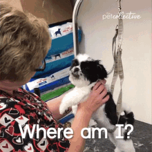 Where Am I The Pet Collective GIF - Where Am I The Pet Collective Barking GIFs