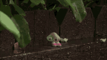 Marcel The Shell Sneeze GIF