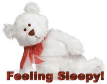 Gross Sleepy GIF - Gross Sleepy Bear GIFs