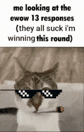 a cat wearing sunglasses is smoking a cigarette with the caption " me looking at the ewow 13 responses "