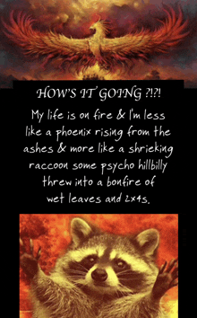 Raccoon Phoenix GIF - Raccoon Phoenix Rising GIFs