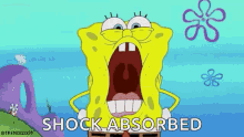 Spongebob Shocked GIF - Spongebob Shocked Schockiert GIFs