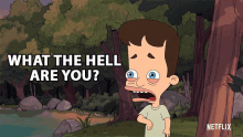 What The Hell Are You Nick Birch GIF - What The Hell Are You Nick Birch Big Mouth GIFs