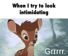 Grrr Bambi GIF - Grrr Bambi Intimidating GIFs