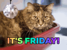 Purrfect Its Friday GIF