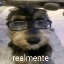 a dog wearing glasses and a mohawk is sitting under a desk .