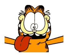Garfield Crazy GIF