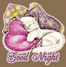 Goodnight Cat GIF - Goodnight Cat Cute GIFs