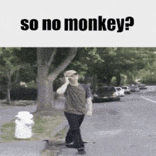 Monky Monke GIF - Monky Monke Monkey GIFs