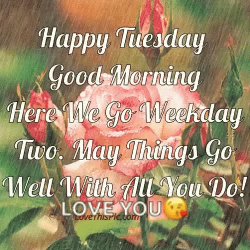 good morning happy tuesday quotes