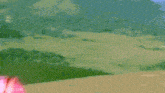 a woman in a pink saree is standing in front of a field
