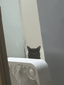 a black cat looks out from behind a white box fan