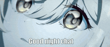 a close up of a girl 's eyes with the words " good night chat " below it