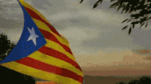 Catala Estelada GIF - Catala Estelada Catalana GIFs