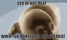 meat ceo