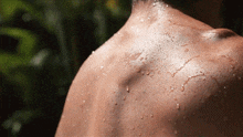Back Muscles GIF - Back Muscles Back Muscle GIFs