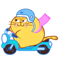 cat motor fat chubby kitty