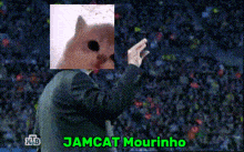 Jamcat Mourinho GIF