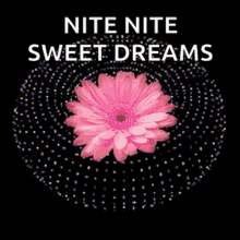 nite sweet dreams sparkles good night flower