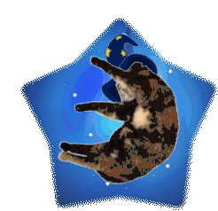 доброй ночи Sticker - доброй ночи Cat Stickers
