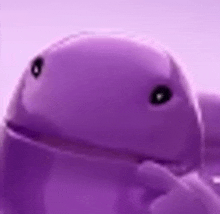 a close up of a purple jellyfish with black eyes .