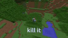Kill It Kill GIF - Kill It Kill Minecraft GIFs