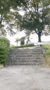 a set of stairs leading up to a tree in a park