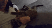 a woman is petting a cat on her shoulder while laying in bed .