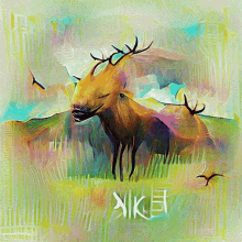Elk Virtualdream GIF