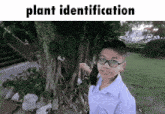 Plant Meme GIF - Plant Meme Tree GIFs