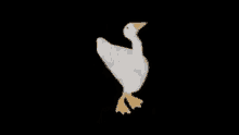 Duck Dancing Duck GIF - Duck Dancing Duck Goose GIFs