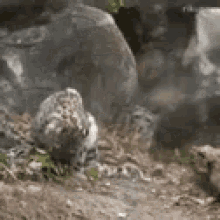 Scary Jump GIF - Scary Jump Scared GIFs