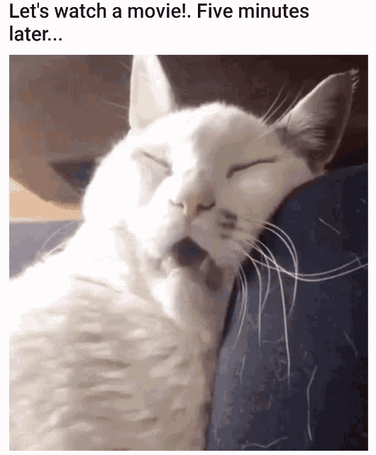 cat-tired.gif