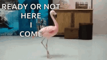 pink flamingo hide and seek ready or not here i come