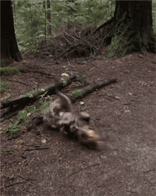 Roll Around Getting Dirty GIF