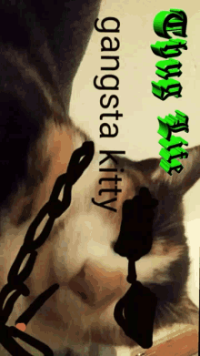 Gangsta Kitty Cat GIF - Gangsta Kitty Cat Kitty GIFs