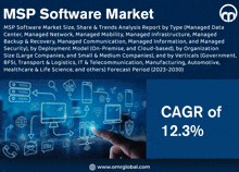 Msp Software Market GIF