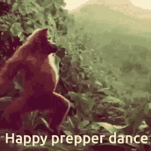 happy prepper dance
