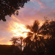 a sunset with palm trees in the foreground and a purple sky in the background