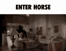 horse enter
