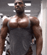 Muscle Bodybuilder GIF - Muscle Bodybuilder Flexing GIFs