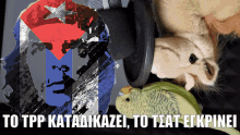 Katadikazoume καταδικαζουμε GIF - Katadikazoume Katadikazo καταδικαζουμε GIFs