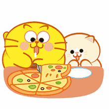 cats pizza