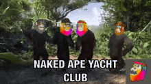 Layc Naked Apes GIF