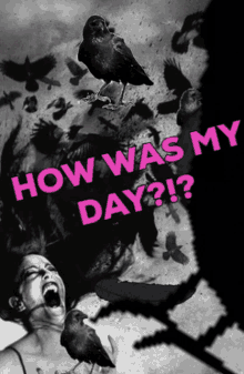 How Was My Day Bird GIF - How Was My Day Bird Scream GIFs